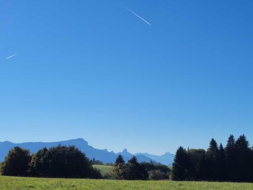 IMG-20211018-WA0020
