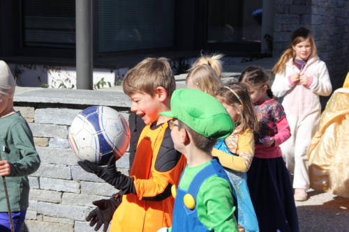IMG 0140